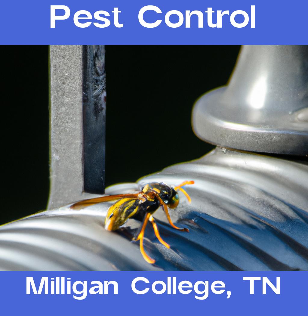 pest control in Milligan College Tennessee