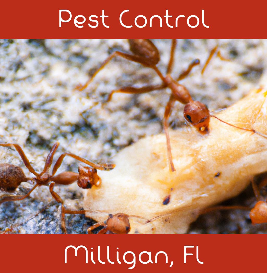 pest control in Milligan Florida