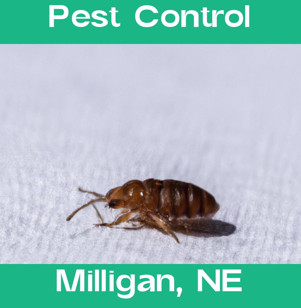 pest control in Milligan Nebraska