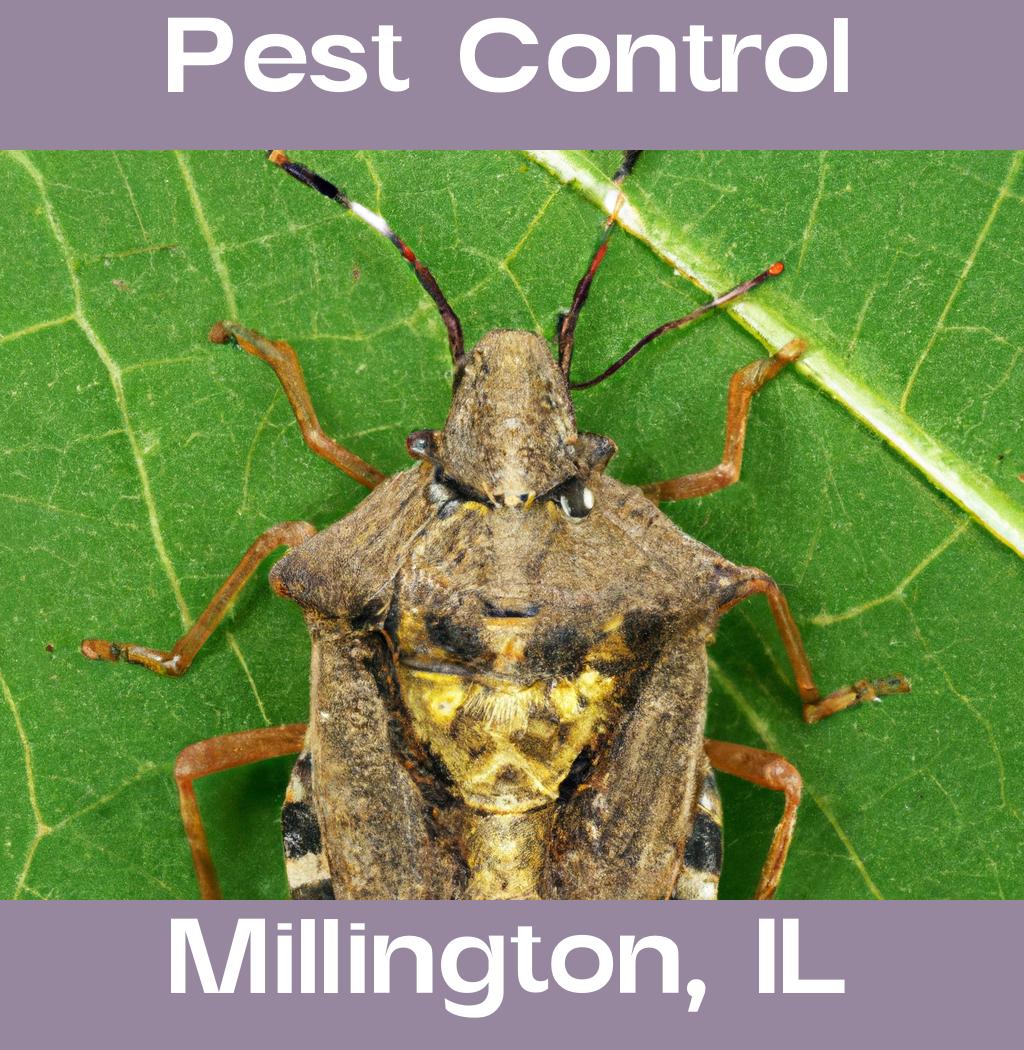 pest control in Millington Illinois
