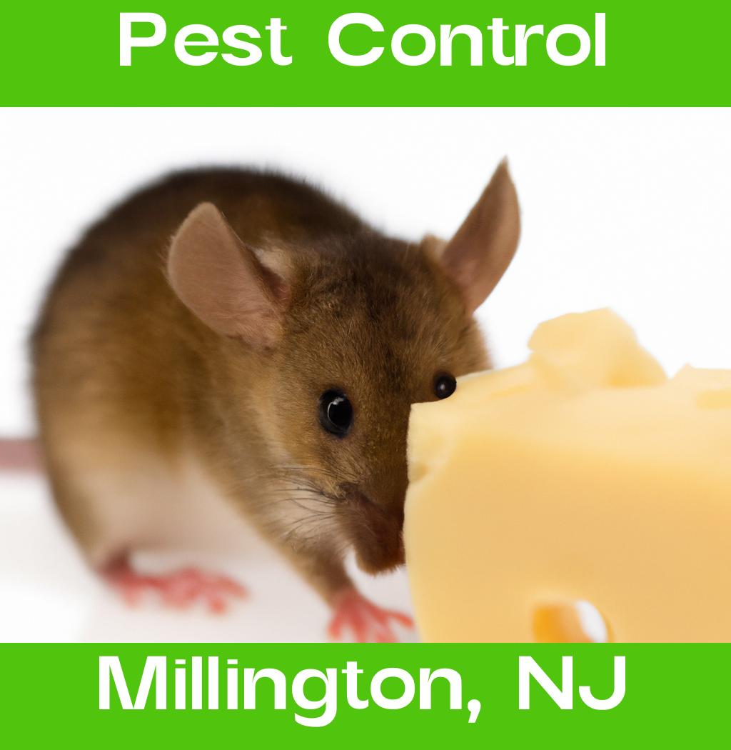 pest control in Millington New Jersey