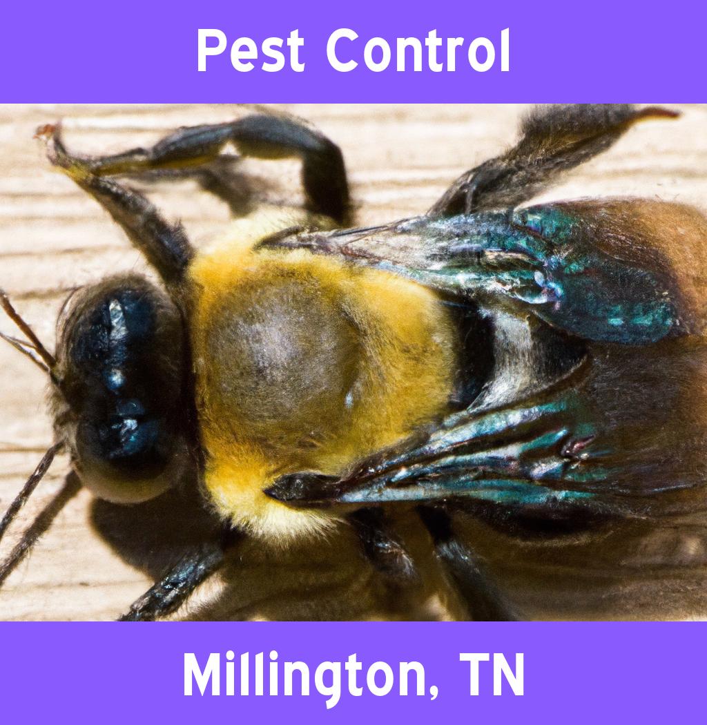 pest control in Millington Tennessee