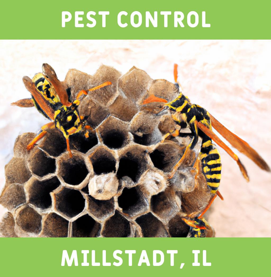 pest control in Millstadt Illinois