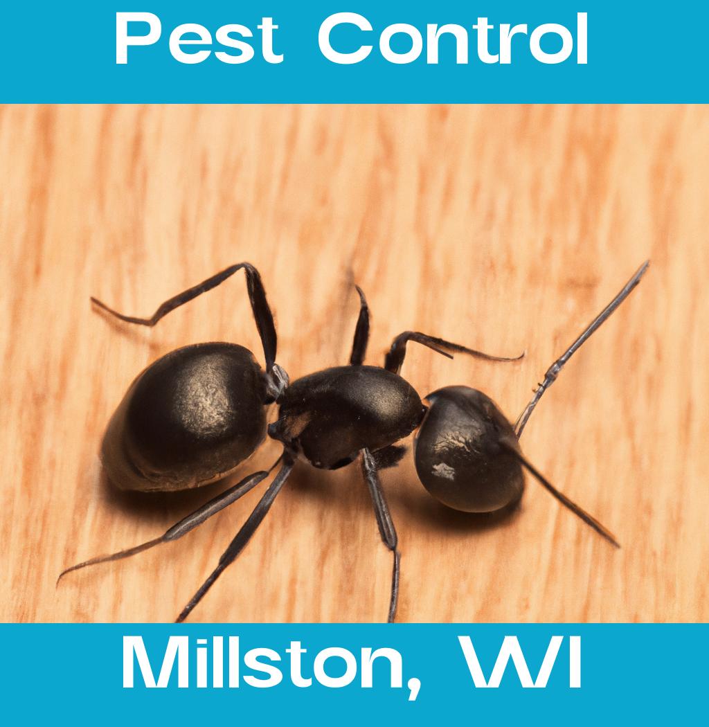 pest control in Millston Wisconsin