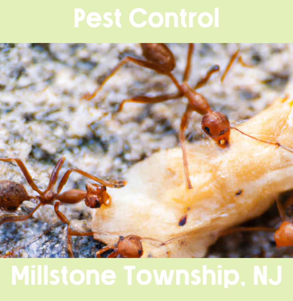 pest control in Millstone Township New Jersey
