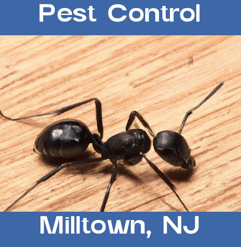 pest control in Milltown New Jersey