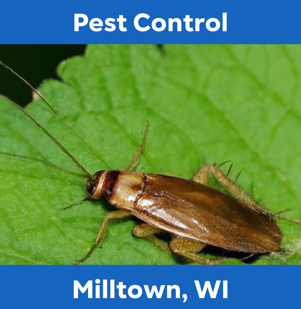 pest control in Milltown Wisconsin