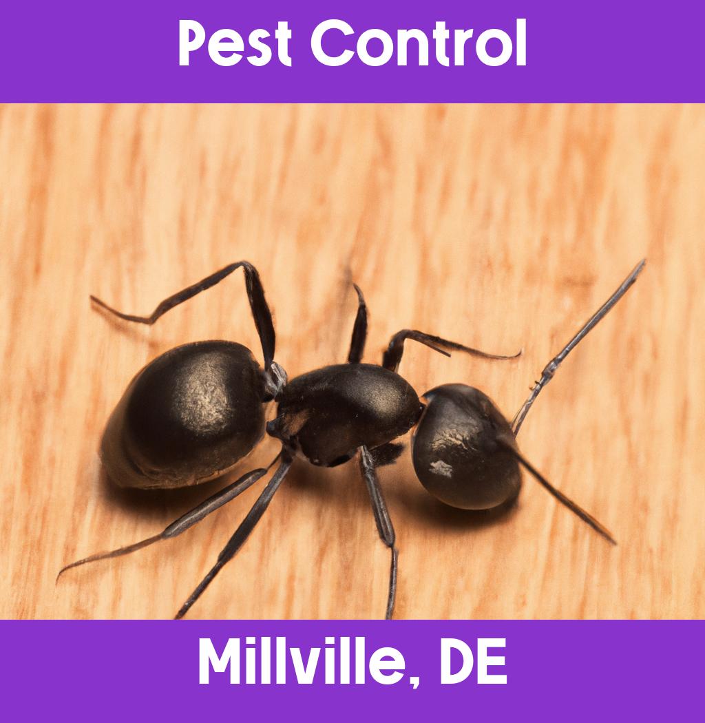 pest control in Millville Delaware