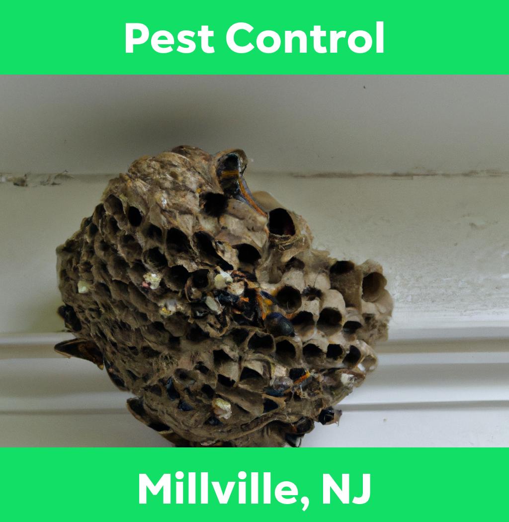 pest control in Millville New Jersey