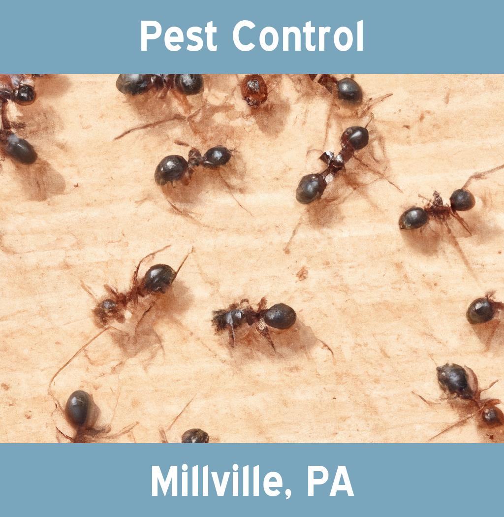 pest control in Millville Pennsylvania