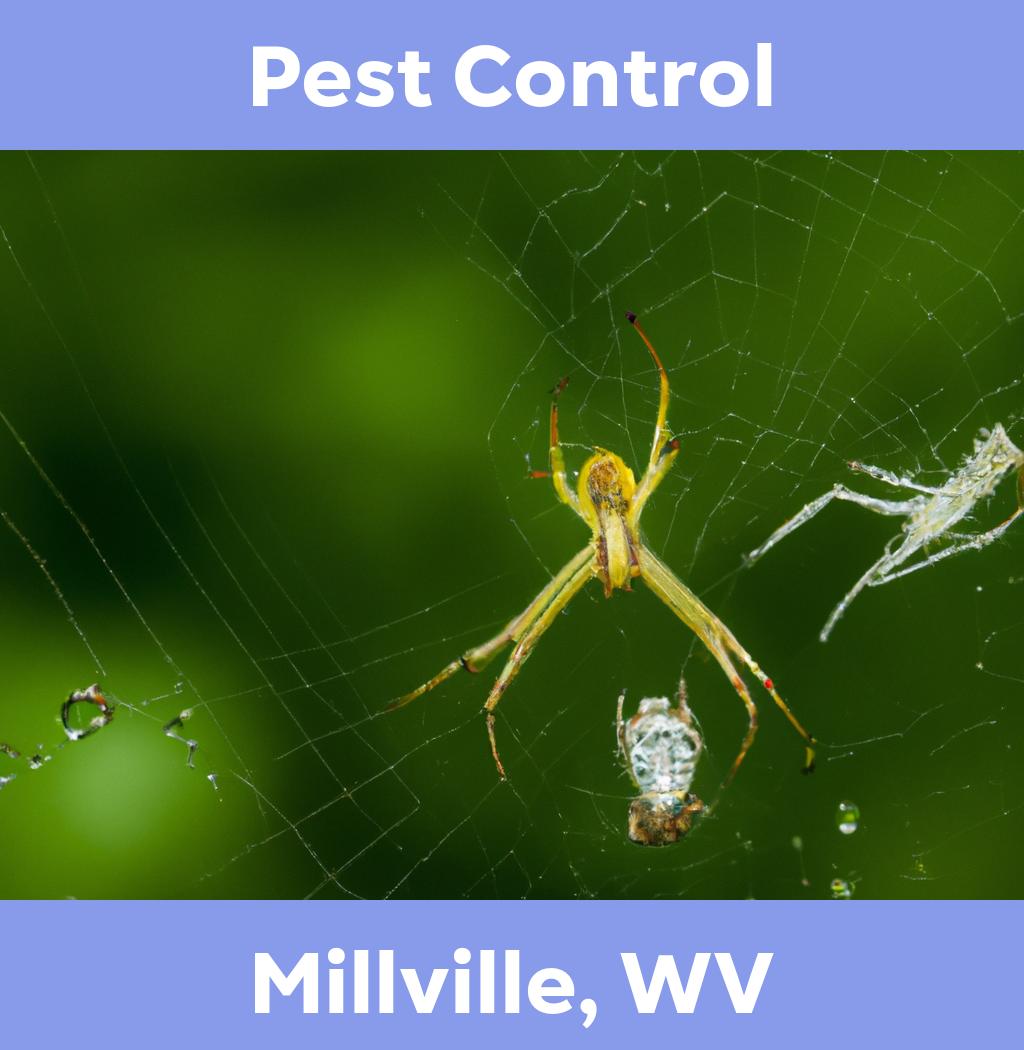 pest control in Millville West Virginia