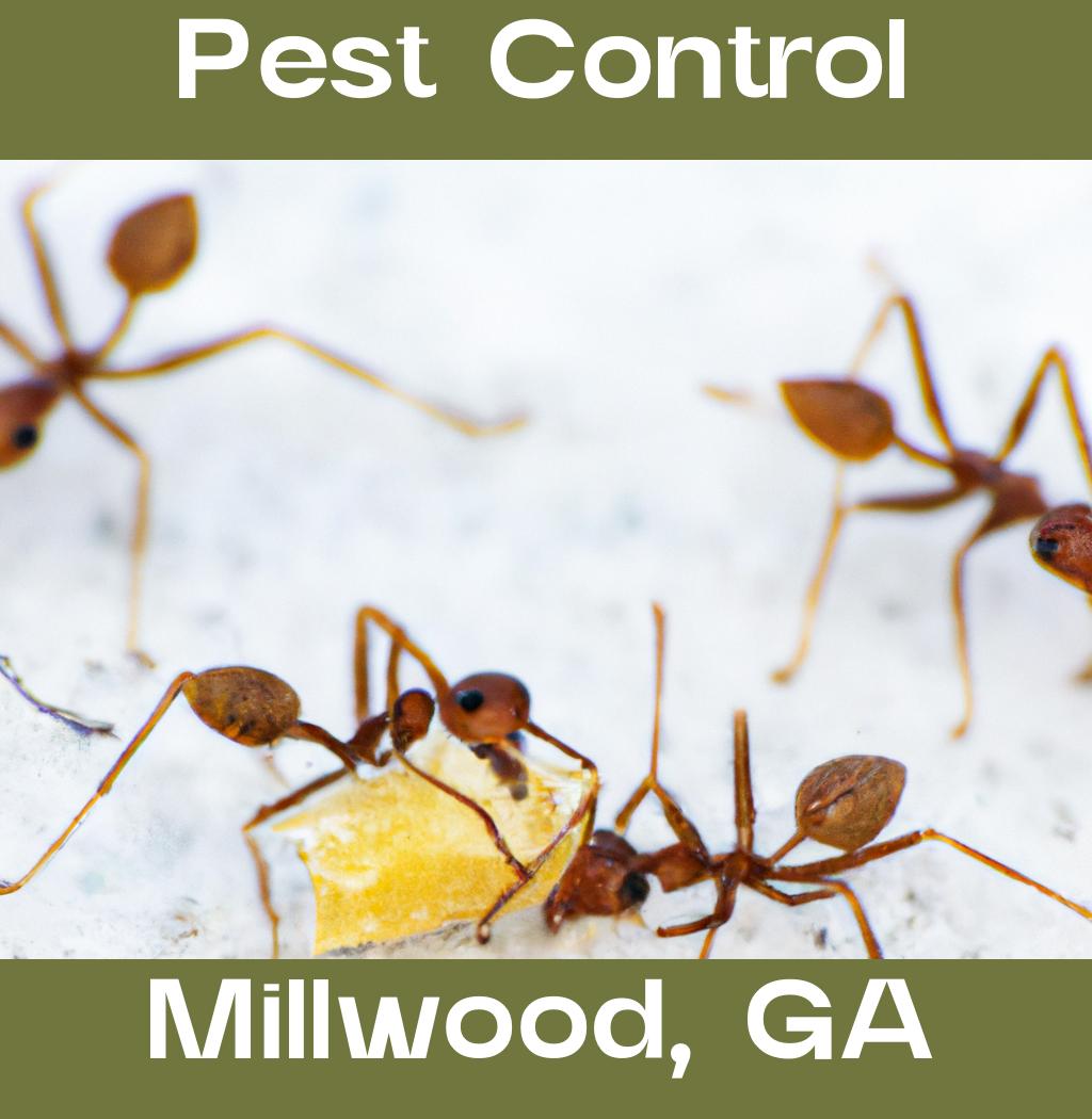 pest control in Millwood Georgia