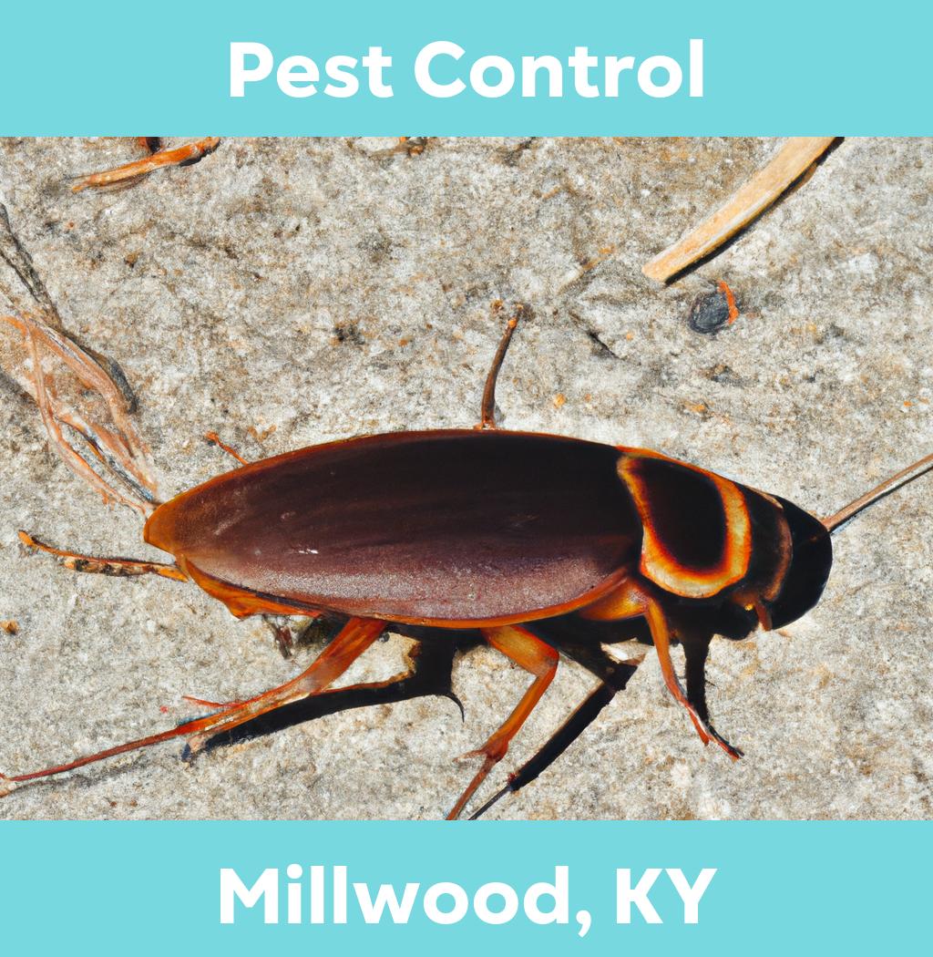 pest control in Millwood Kentucky