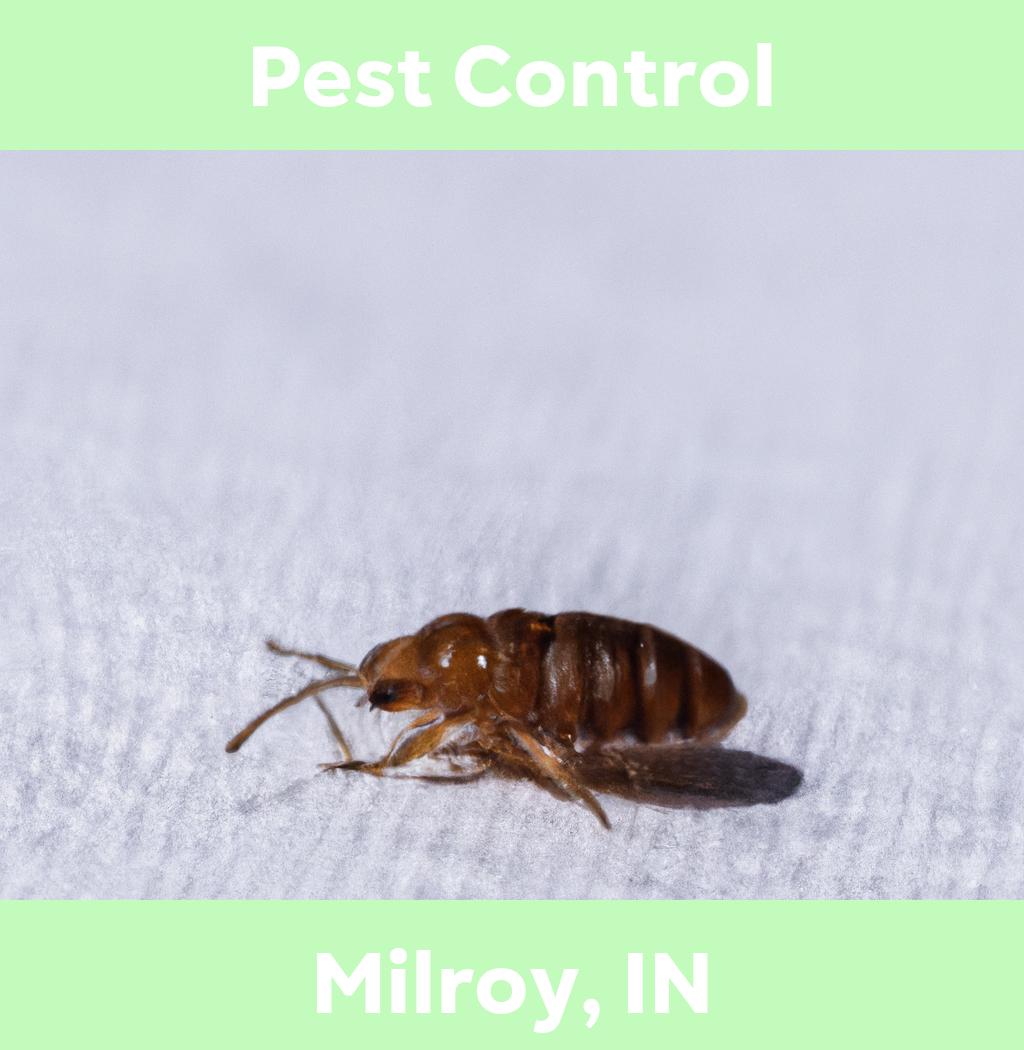 pest control in Milroy Indiana