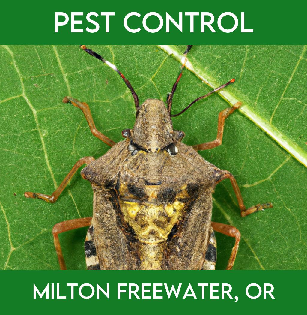 pest control in Milton Freewater Oregon