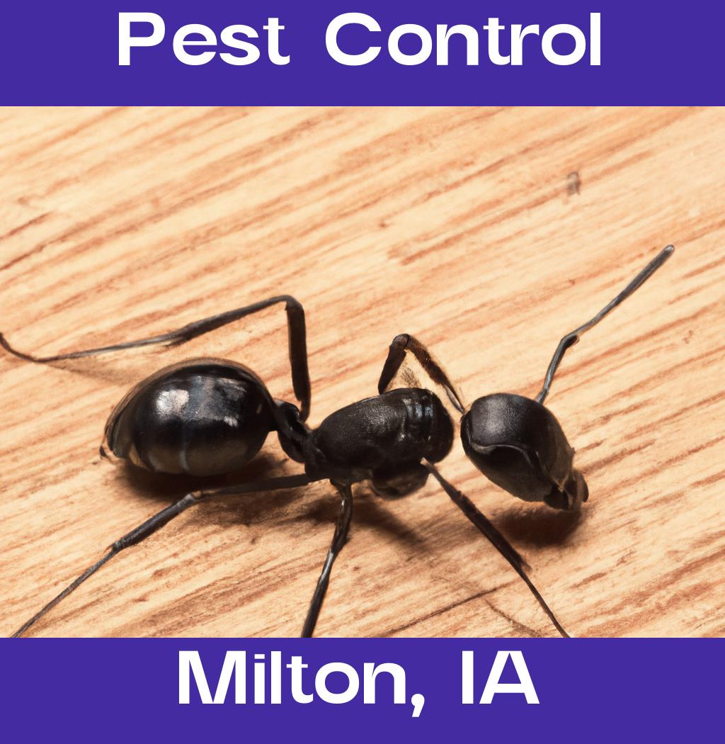 pest control in Milton Iowa