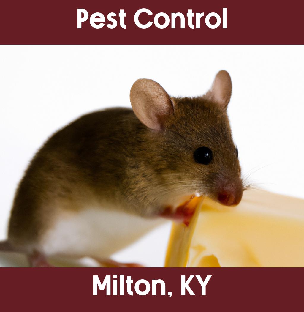 pest control in Milton Kentucky