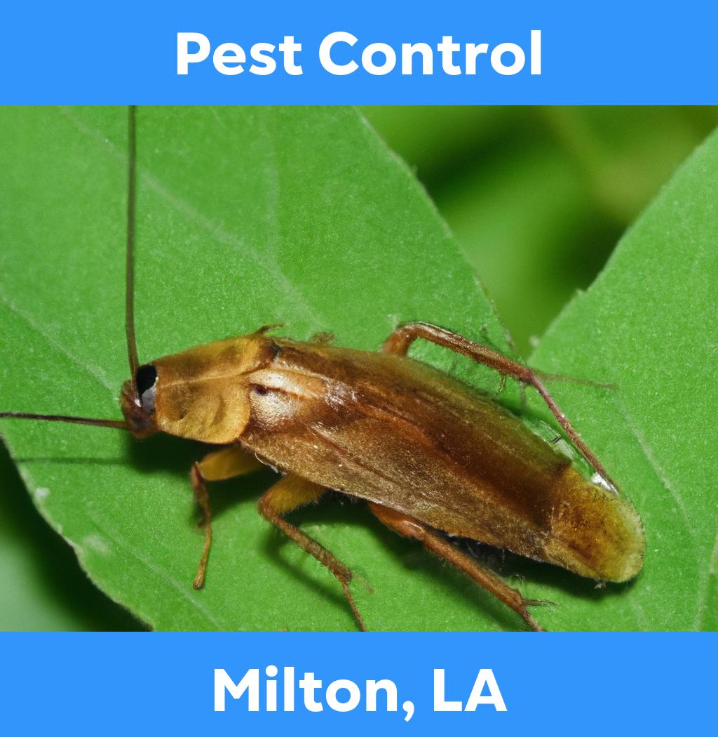 pest control in Milton Louisiana