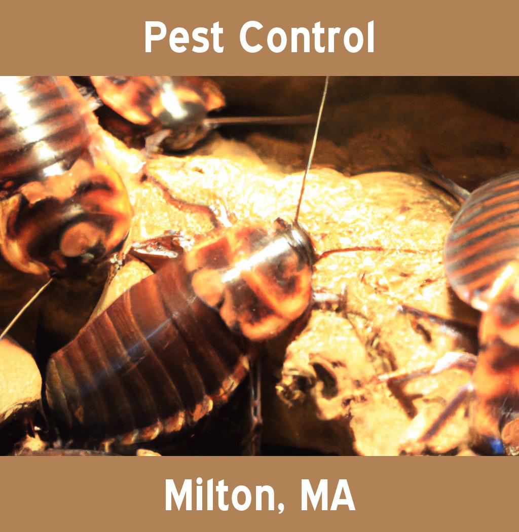 pest control in Milton Massachusetts