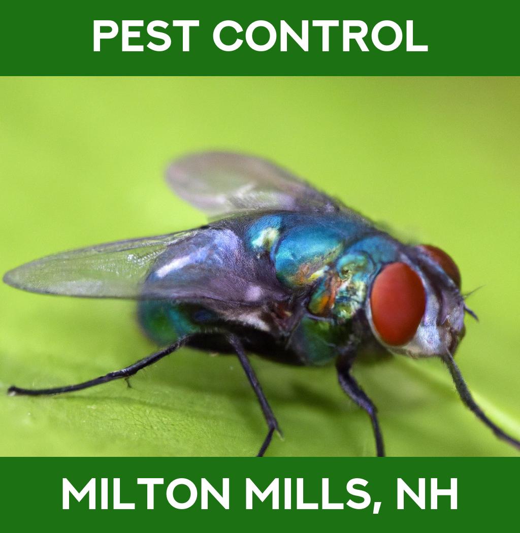pest control in Milton Mills New Hampshire