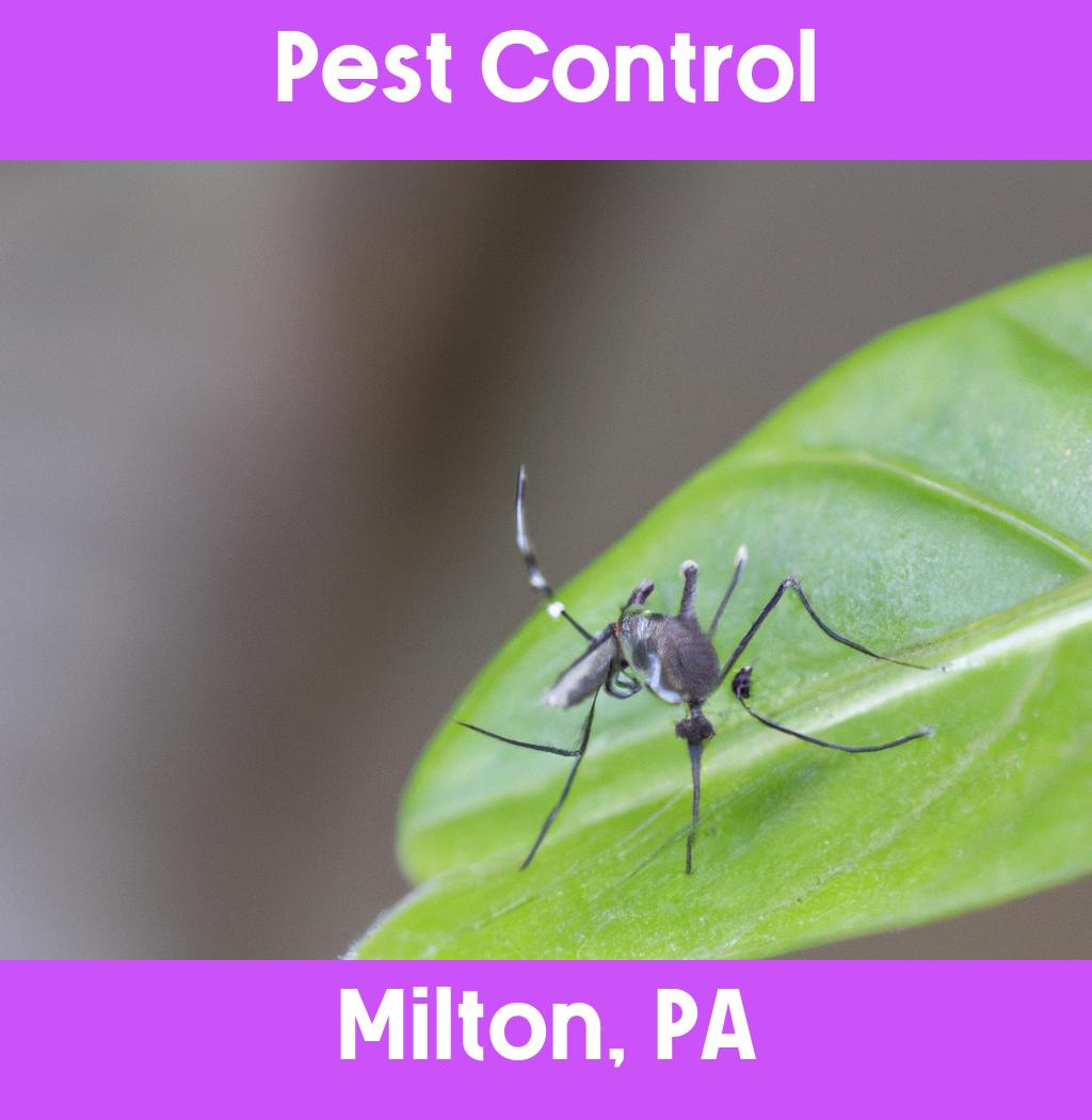 pest control in Milton Pennsylvania