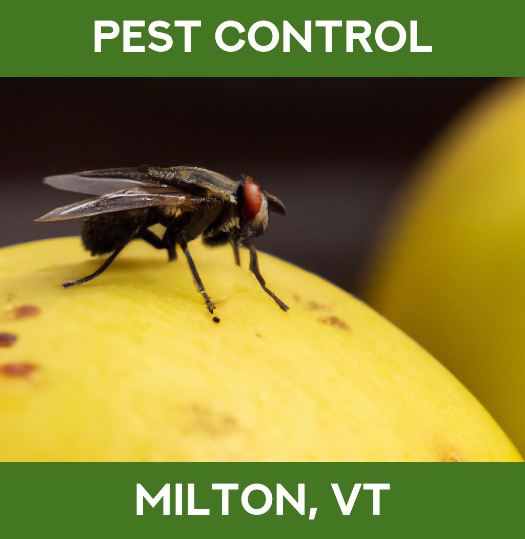 pest control in Milton Vermont