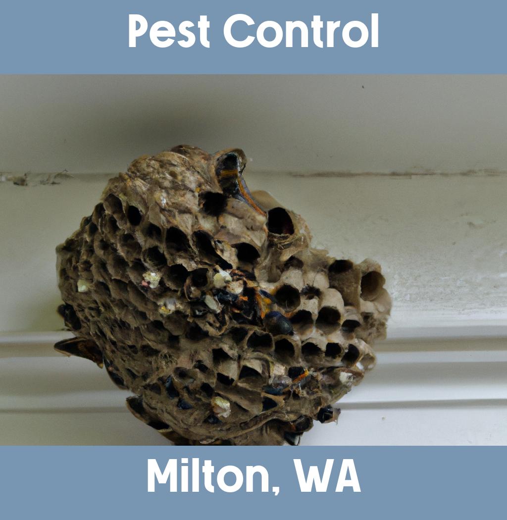 pest control in Milton Washington