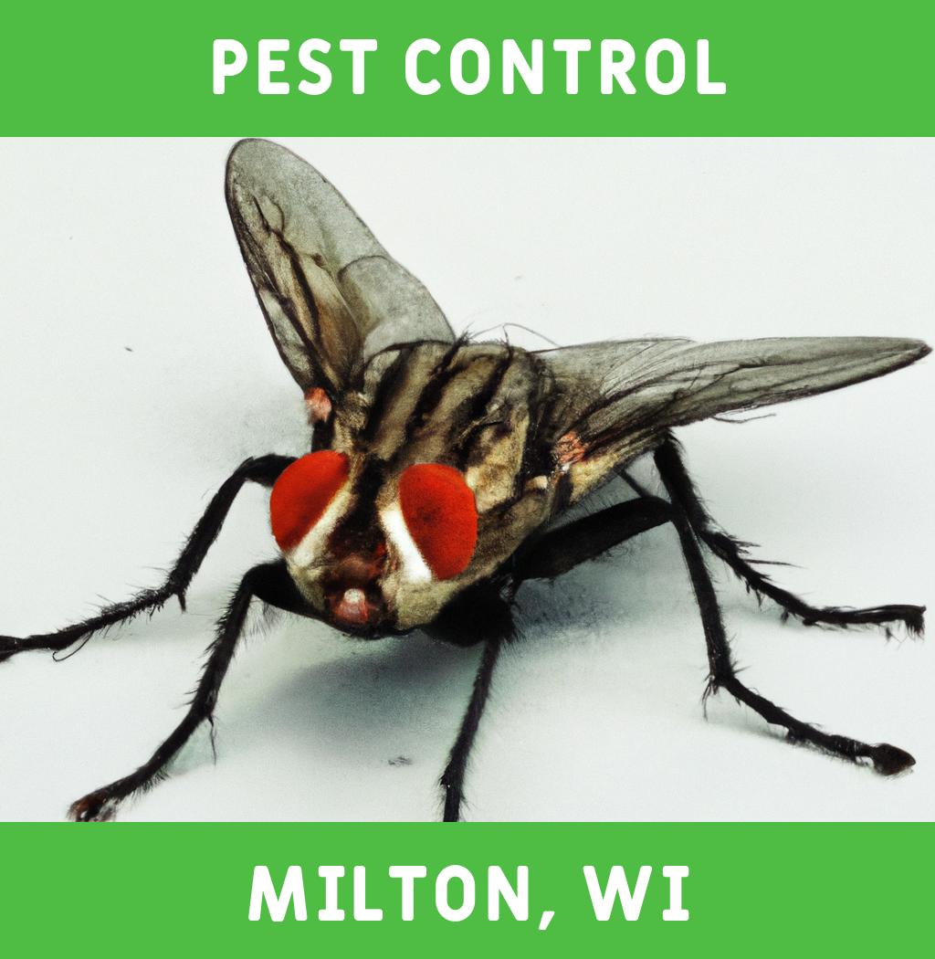 pest control in Milton Wisconsin