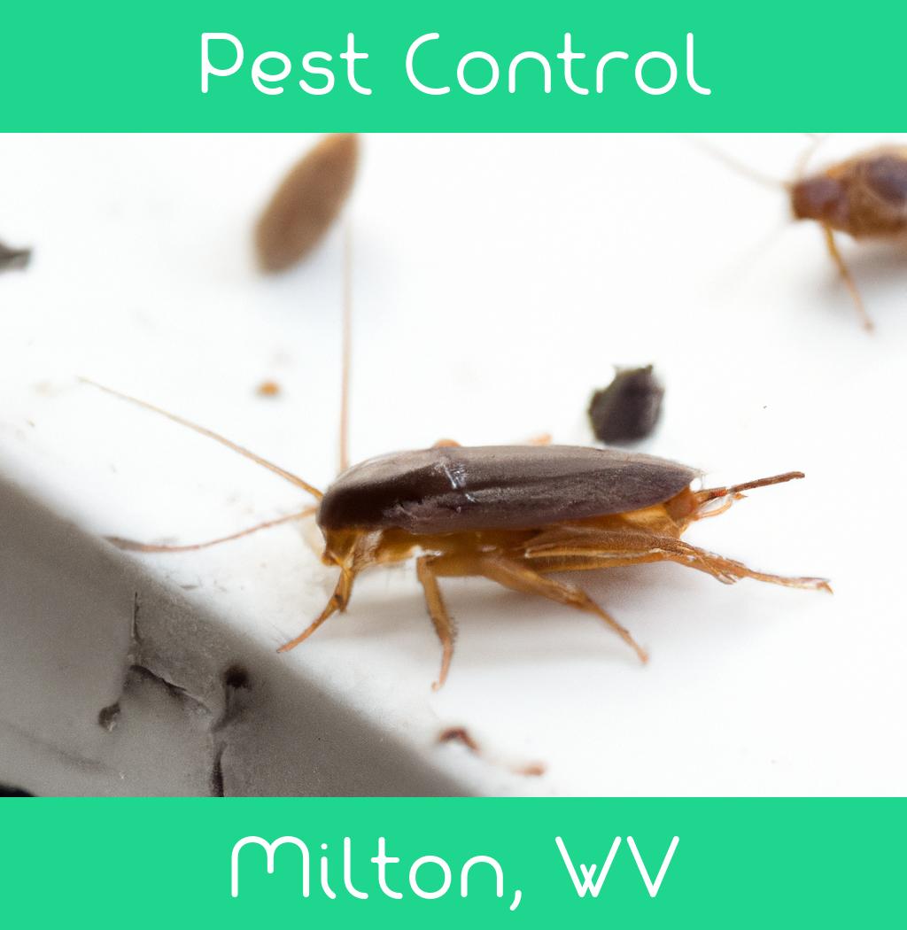 pest control in Milton West Virginia