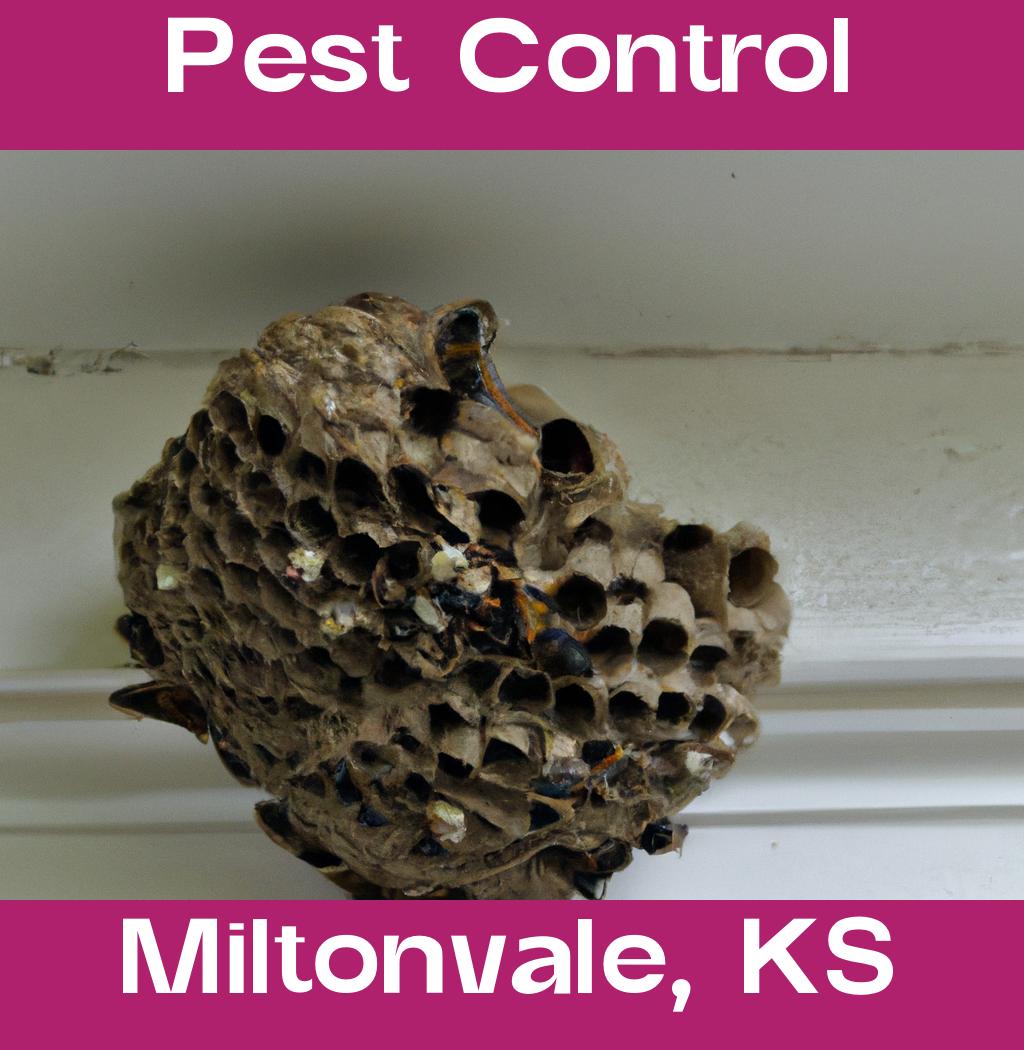 pest control in Miltonvale Kansas