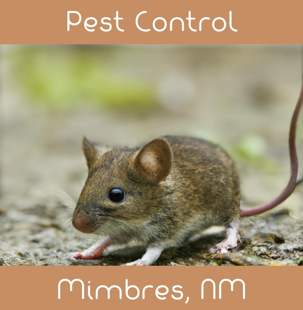pest control in Mimbres New Mexico