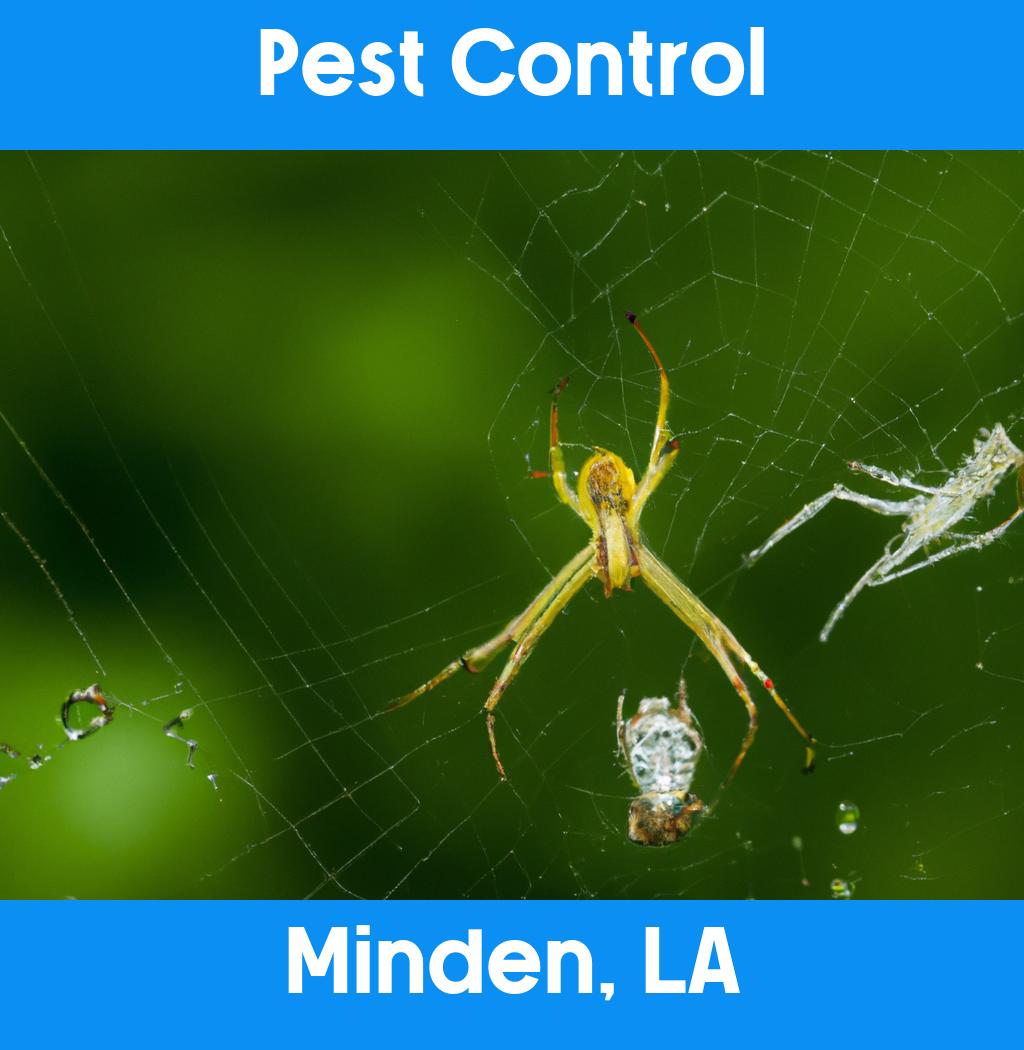 pest control in Minden Louisiana