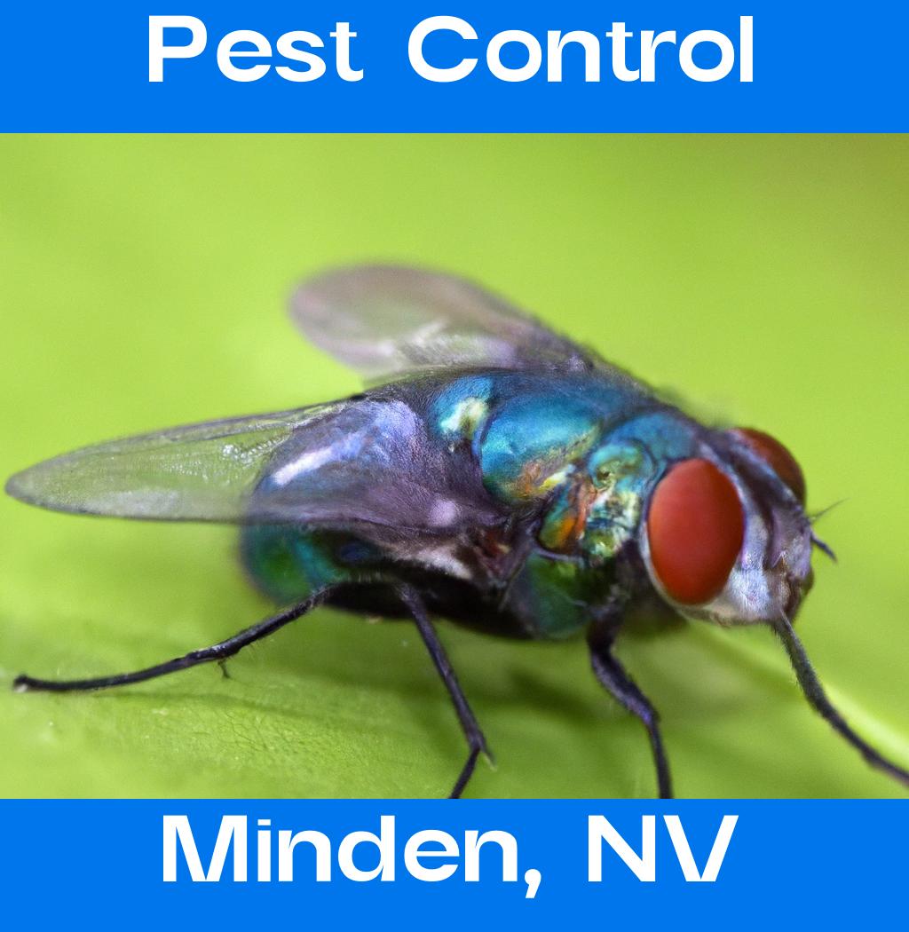 pest control in Minden Nevada