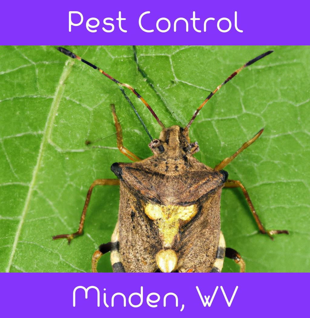 pest control in Minden West Virginia
