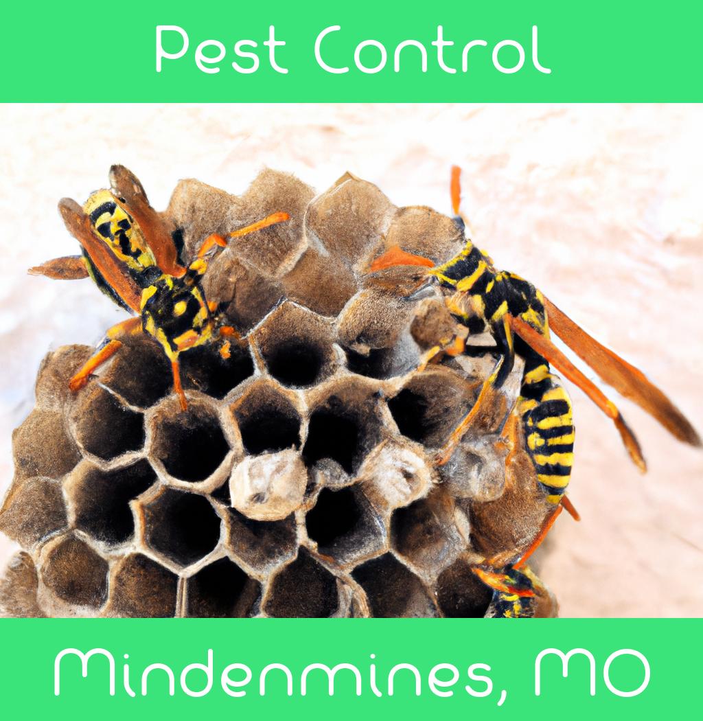 pest control in Mindenmines Missouri