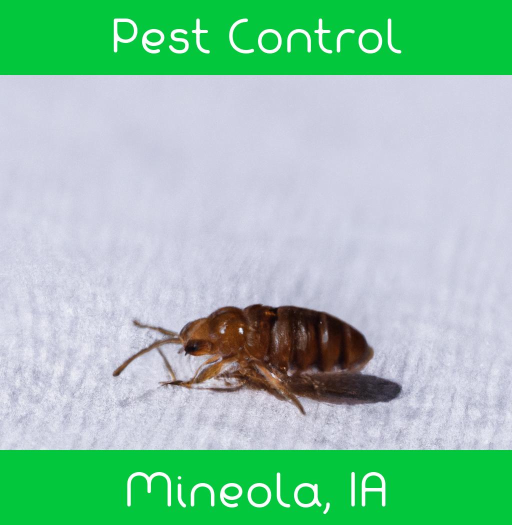 pest control in Mineola Iowa
