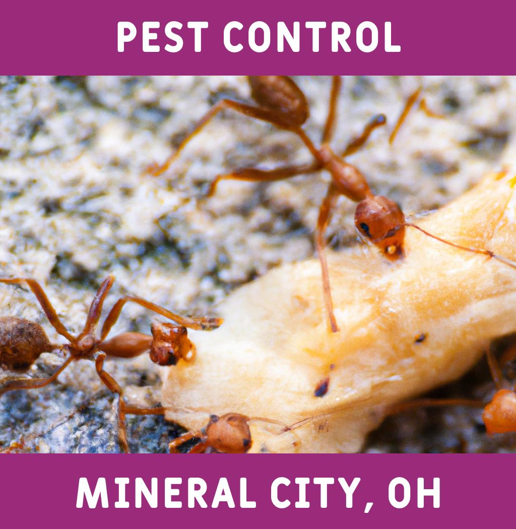 pest control in Mineral City Ohio