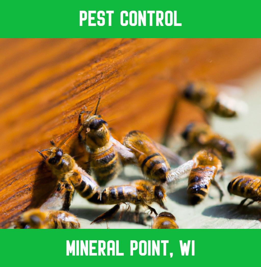pest control in Mineral Point Wisconsin