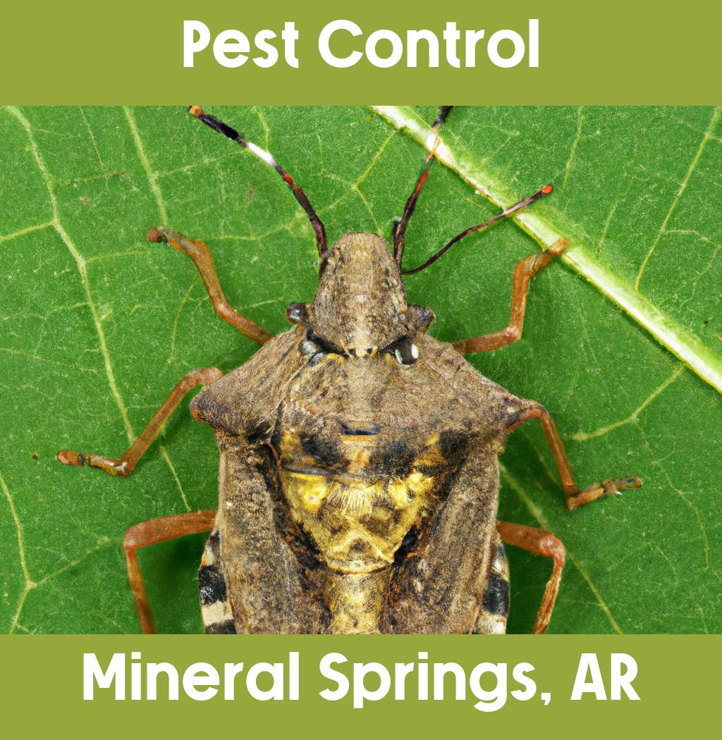 pest control in Mineral Springs Arkansas
