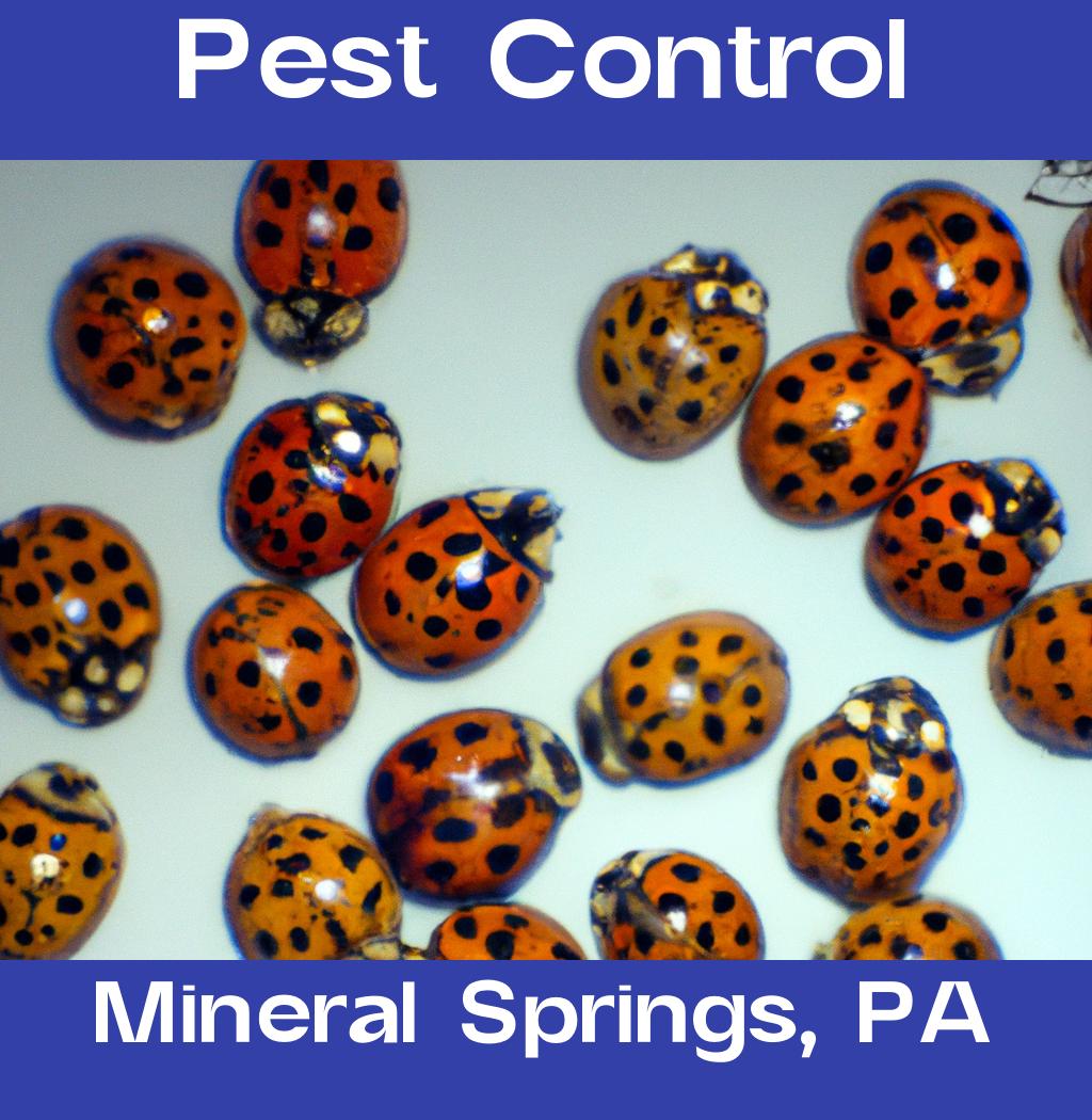 pest control in Mineral Springs Pennsylvania