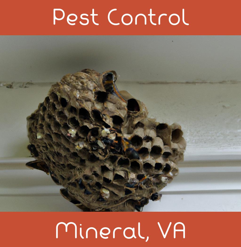 pest control in Mineral Virginia