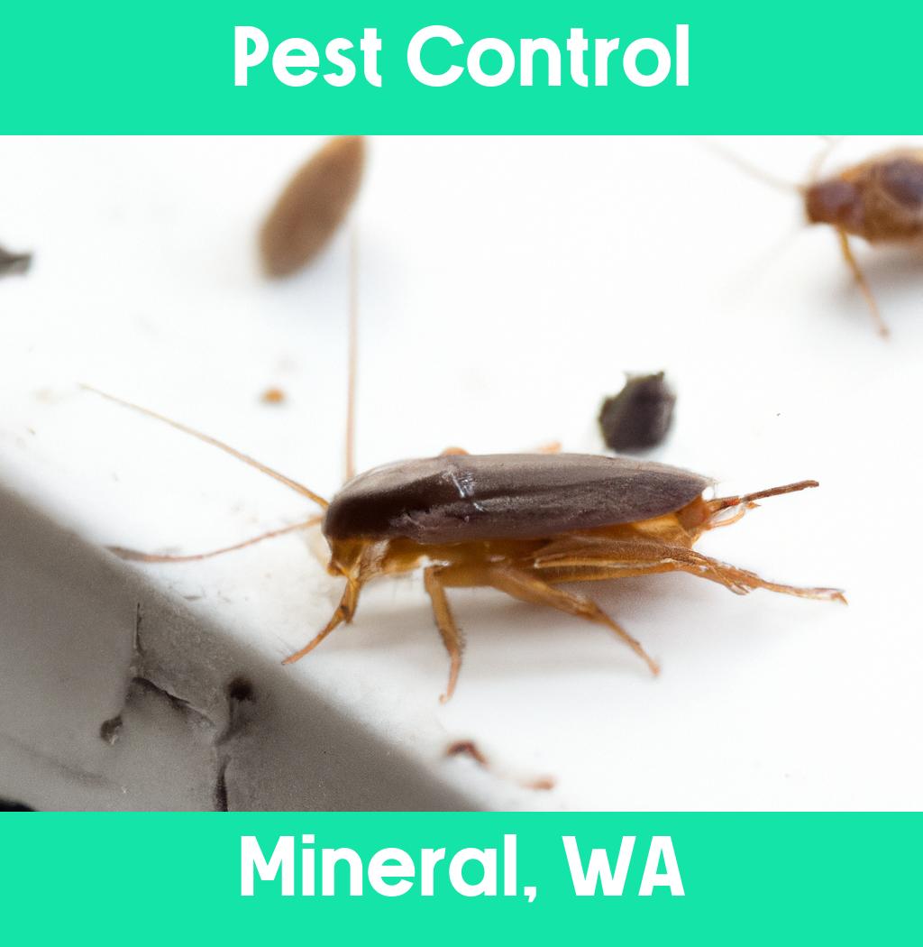 pest control in Mineral Washington