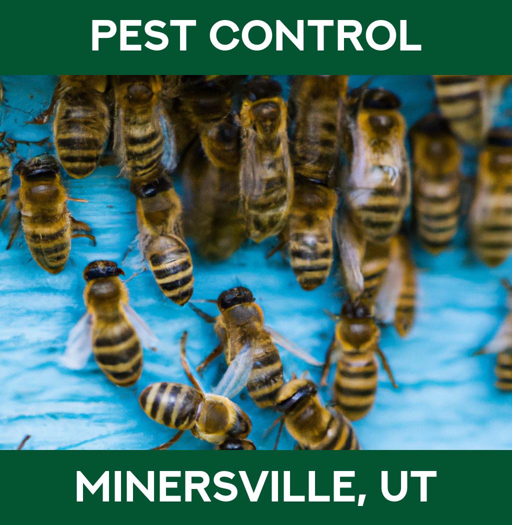 pest control in Minersville Utah