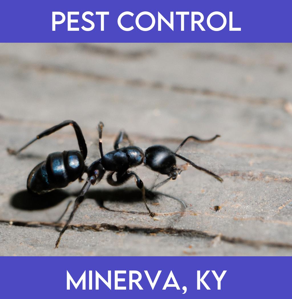 pest control in Minerva Kentucky
