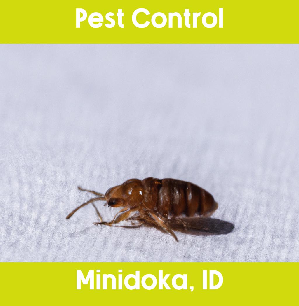 pest control in Minidoka Idaho