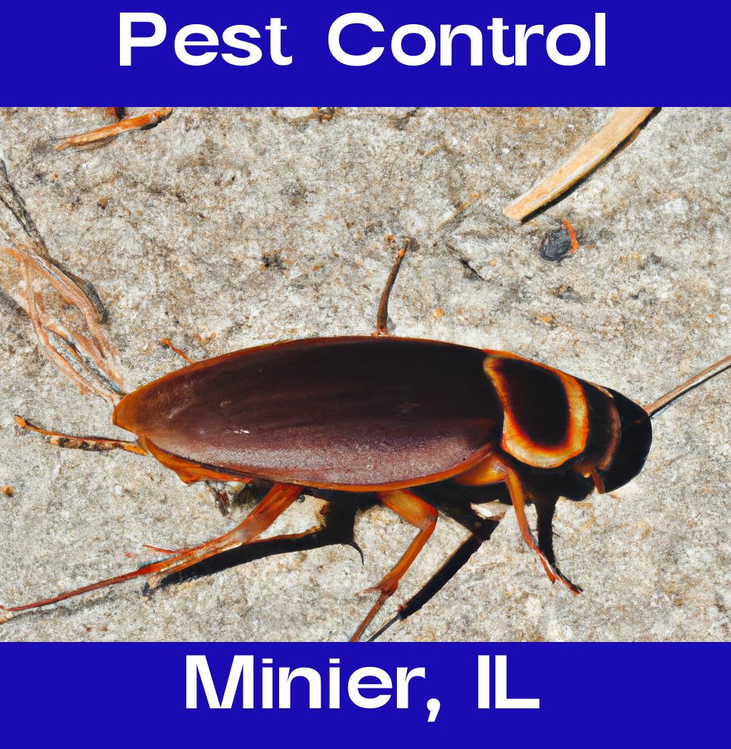 pest control in Minier Illinois