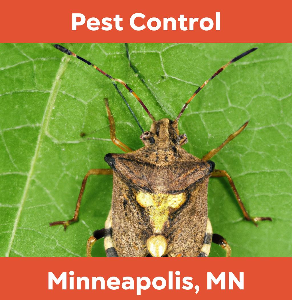 pest control in Minneapolis Minnesota