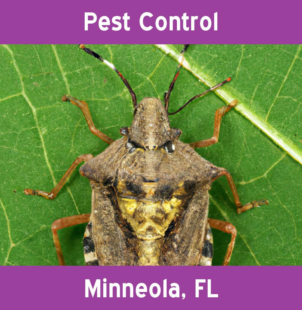 pest control in Minneola Florida