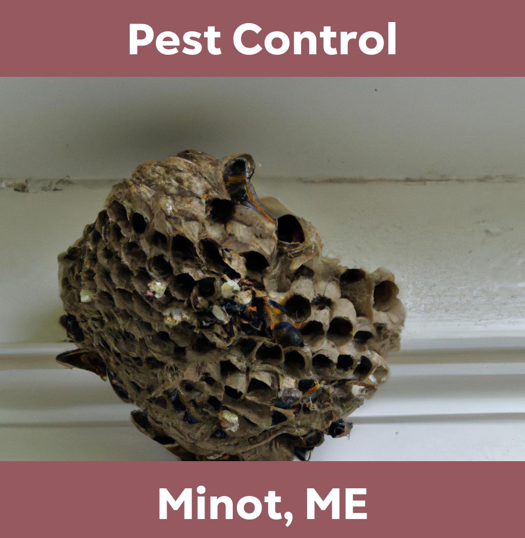 pest control in Minot Maine