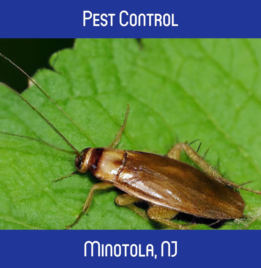 pest control in Minotola New Jersey